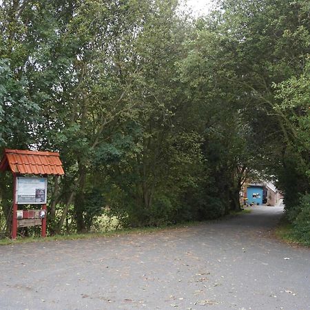 Gulfhof Friedrichsgroden Villa Carolinensiel Dış mekan fotoğraf