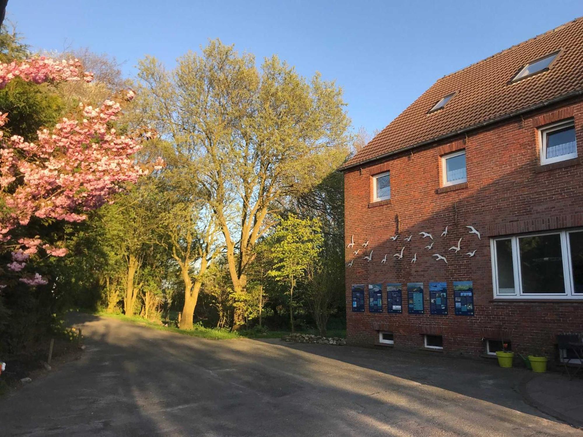 Gulfhof Friedrichsgroden Villa Carolinensiel Dış mekan fotoğraf