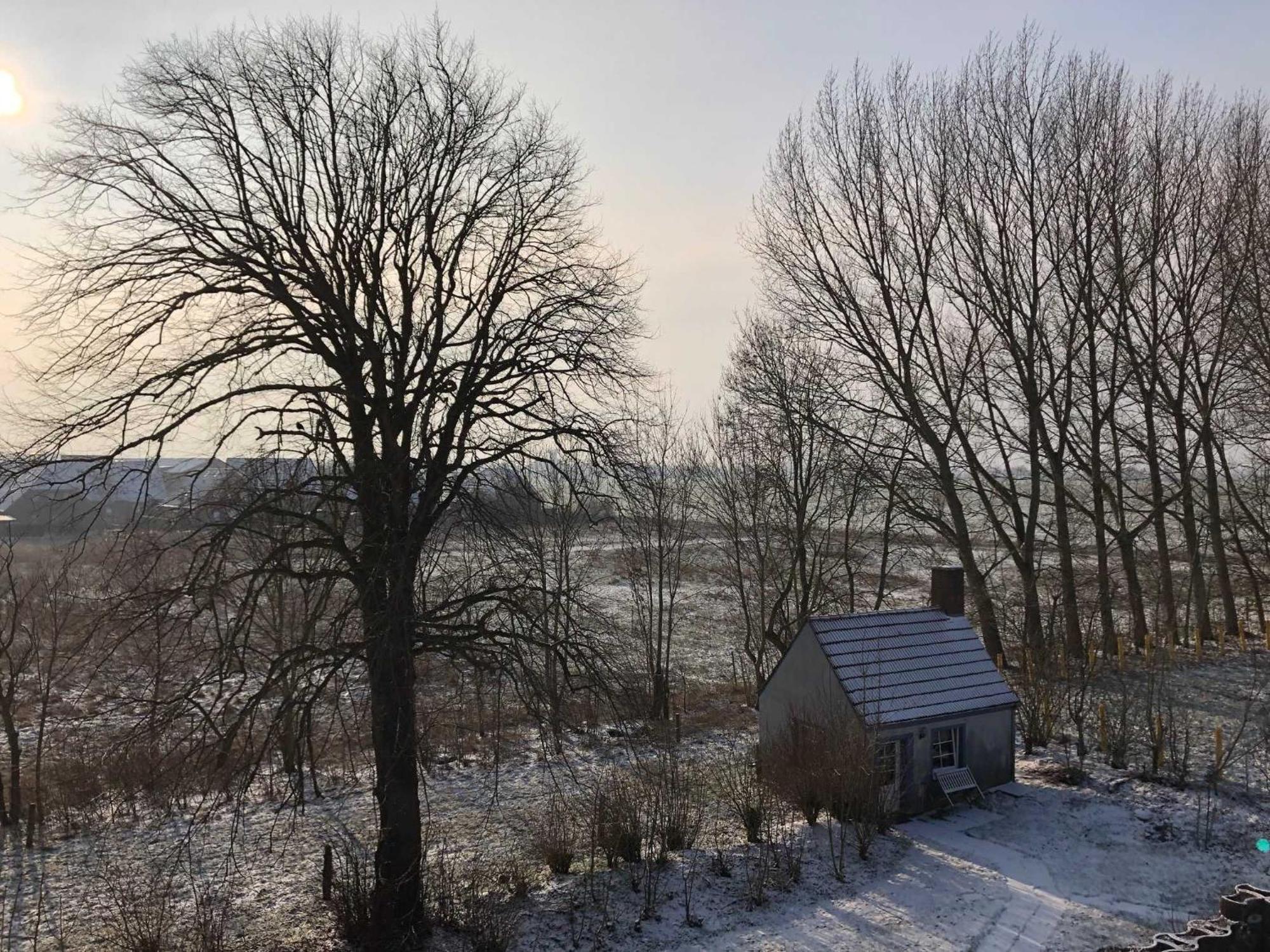 Gulfhof Friedrichsgroden Villa Carolinensiel Dış mekan fotoğraf